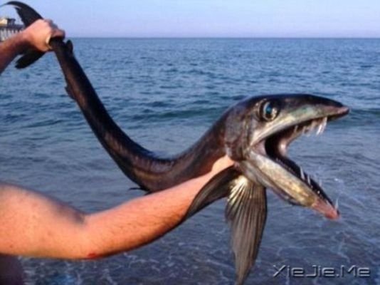 ������̲�ֲֿ����� �쳤����г�������
