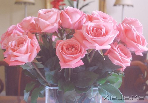 �������ǳǳЦ�����ᰮ (2)