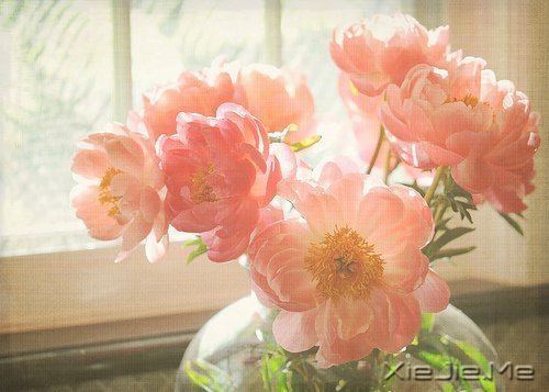 晚安心语:美不过回忆,伤不过别离 (2)