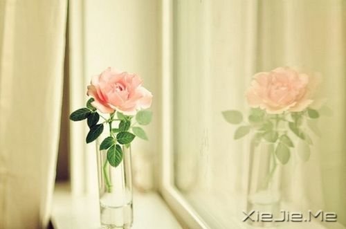 �簲������������̣�ֻ��� (4)