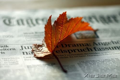 晚安心语:累了,蹲下来抱抱自己 (2)