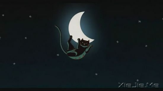 关于猫咪的9部经典电影推荐 (7)