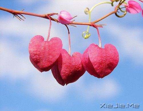 �����Ҹ���20��˲�� (1)