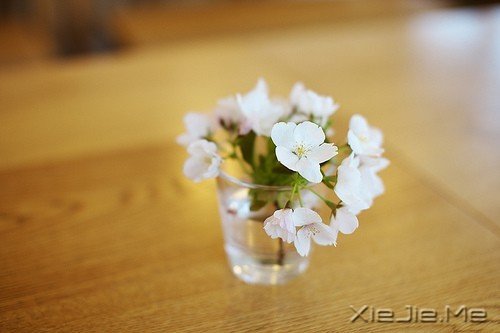 但愿岁月静好