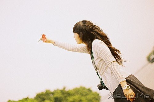 iu3qf iu3qf